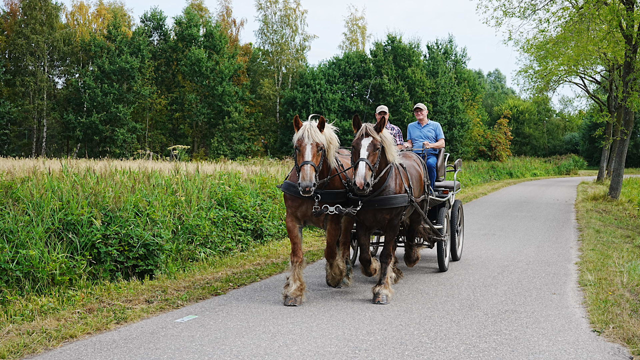 Weekendweer: hoe groot is de kans op buien?