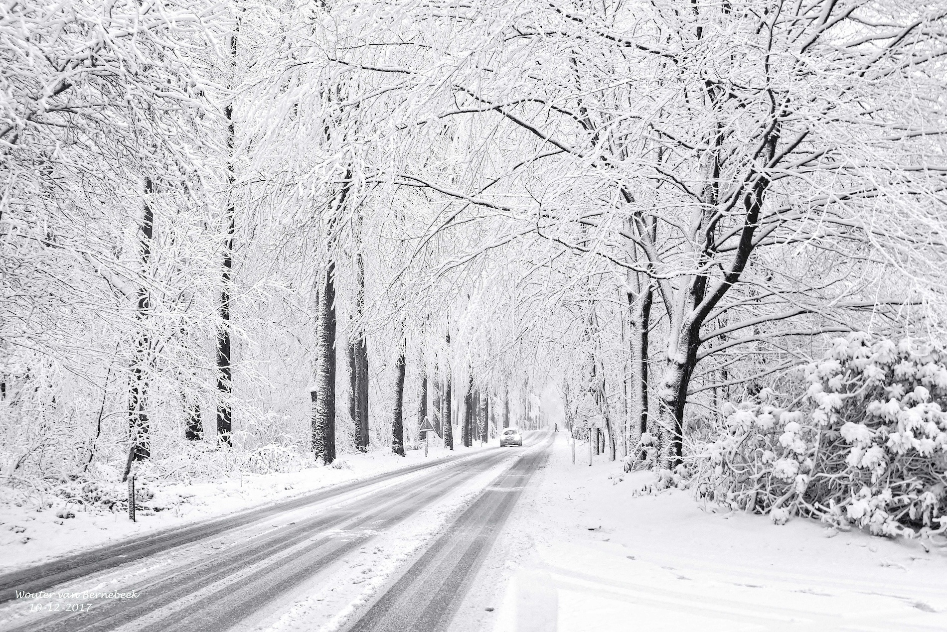 Tot een halve meter sneeuw op 10 en 11 december 2017