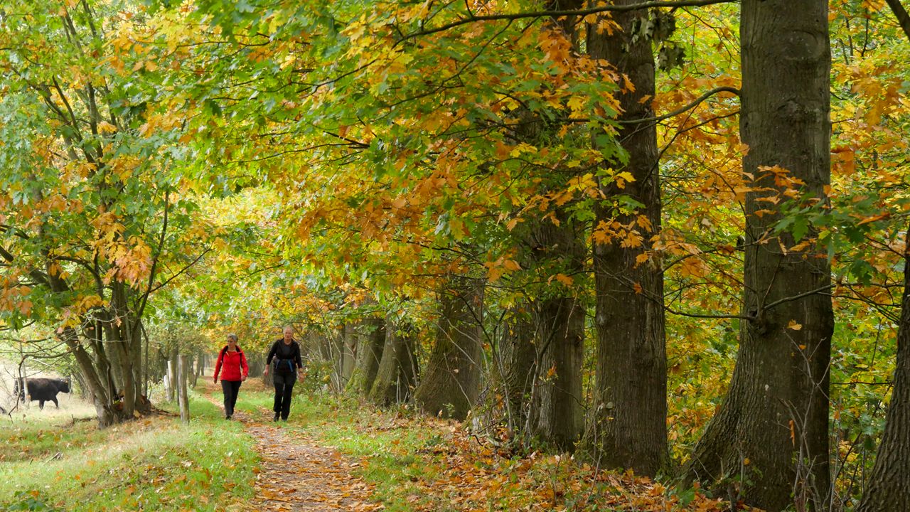 Heerlijk wandelweer. Foto: Jos Hebben