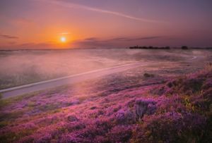 Weekendweer: komt er een einde aan de hittegolf?