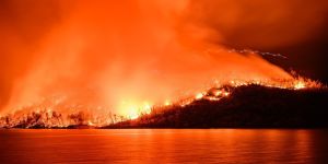 Vergroot risico op brandgevaar door hittegolf in Californië