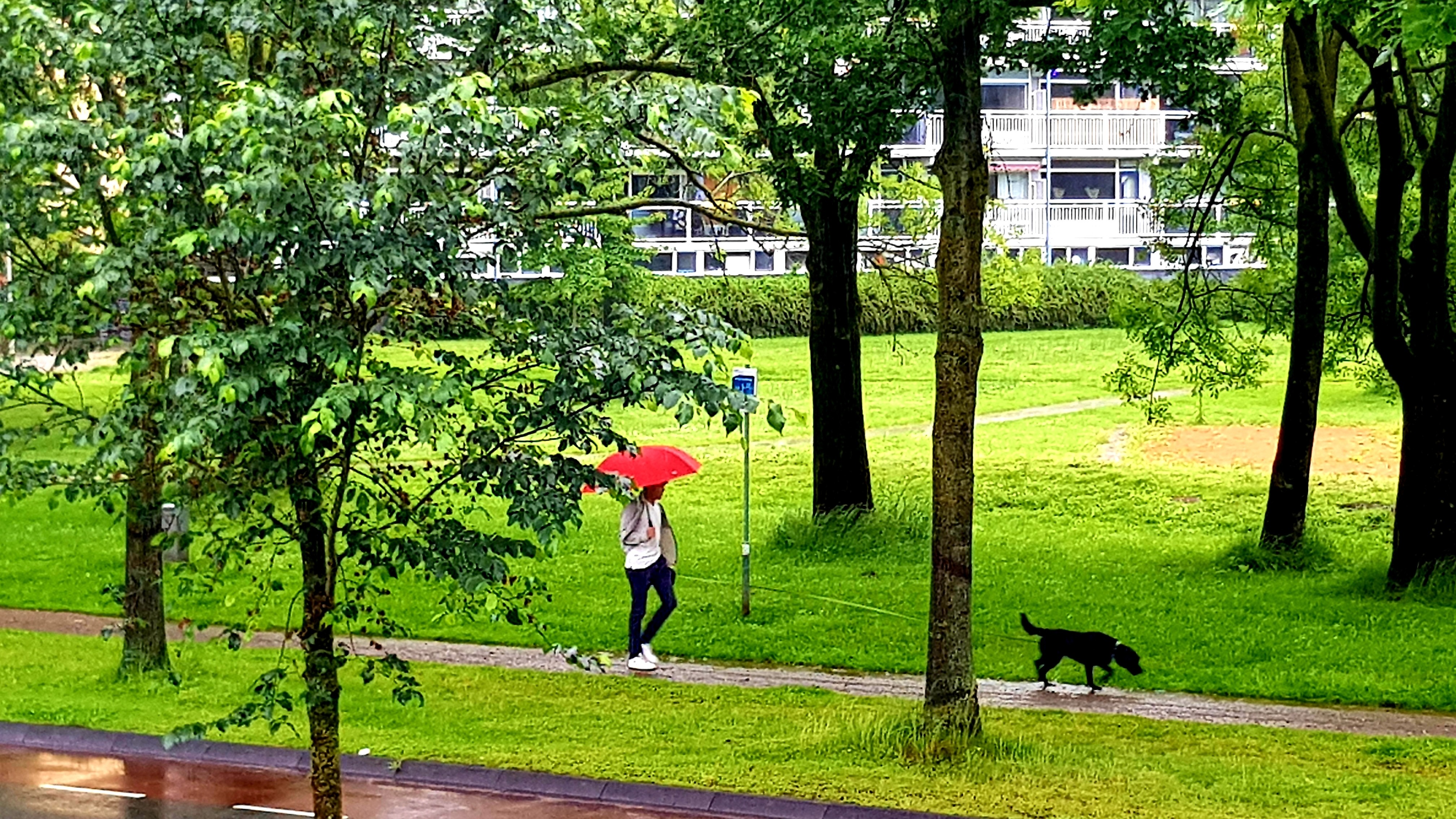 Regenradar Tilburg - Actuele Neerslag & Buien | Weeronline