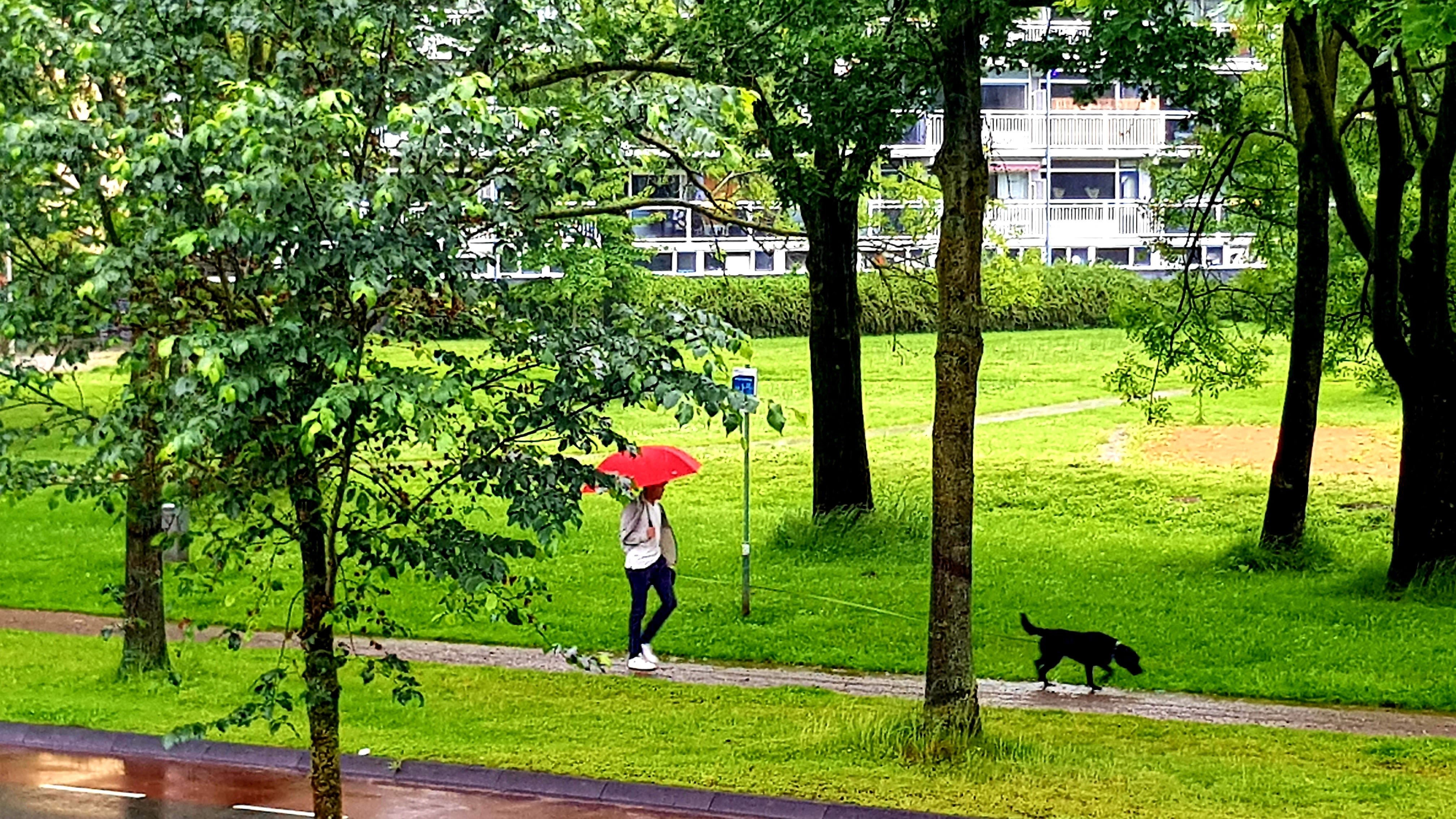 Je paraplu kan goed van pas komen. Foto: Marianne Steenbergen.