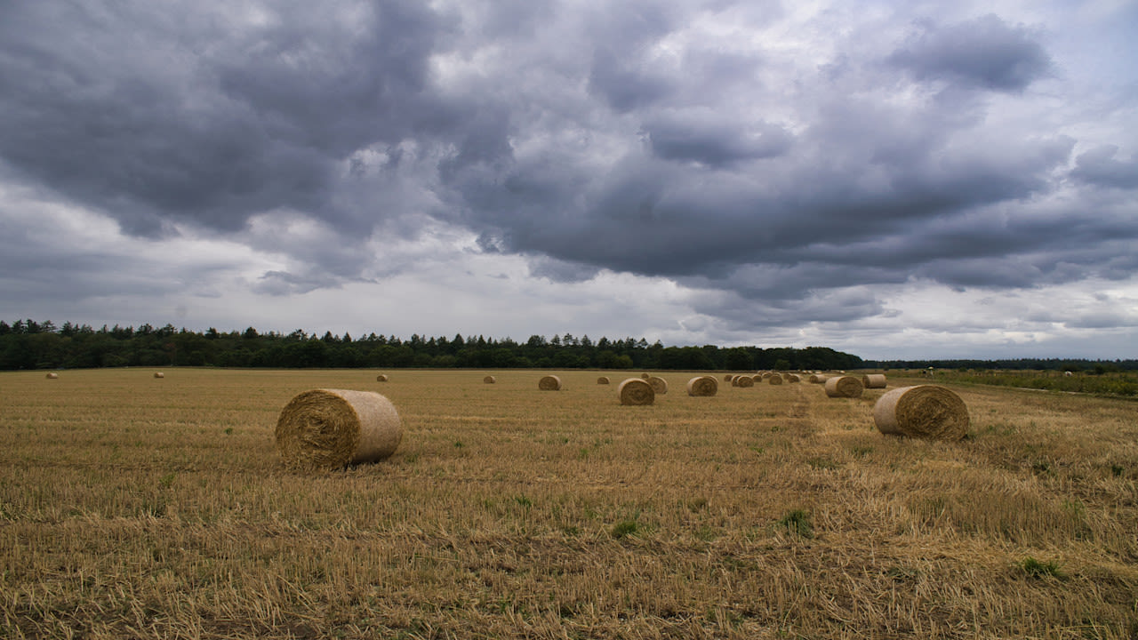 Wolkenvelden. Foto: Ton de Brabander