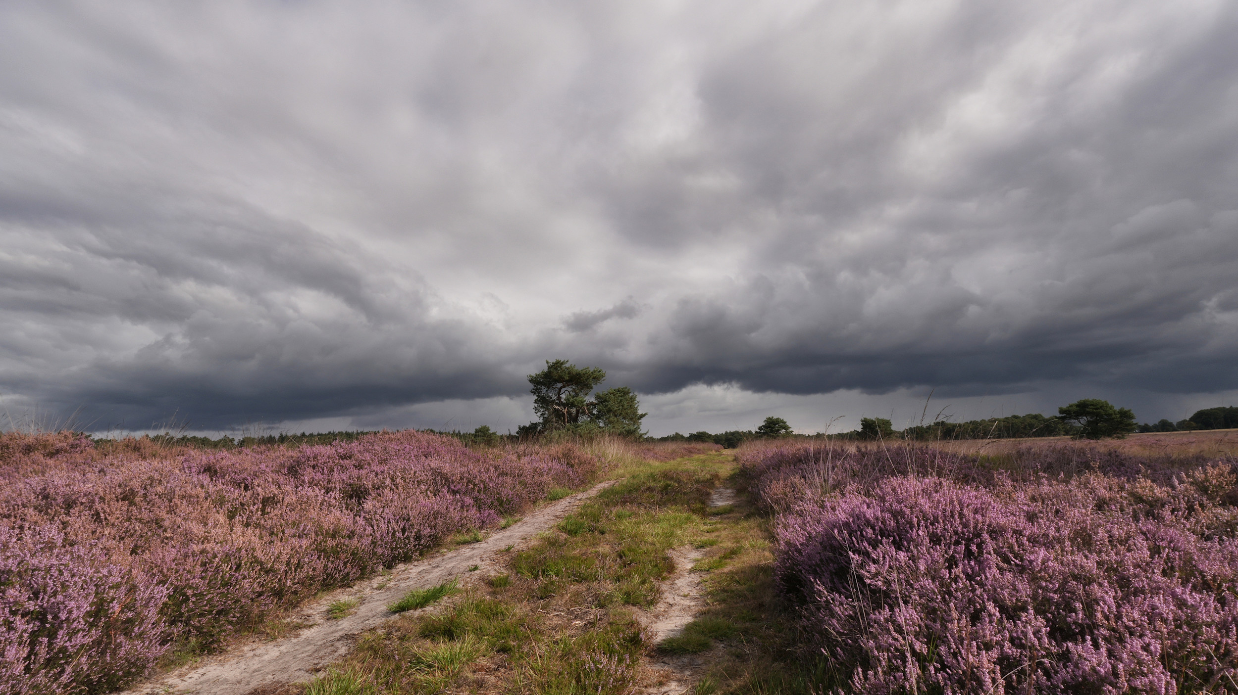 Eind van de week wordt het wisselvalliger en passeren buien over het land. Foto: Arjan Pat.