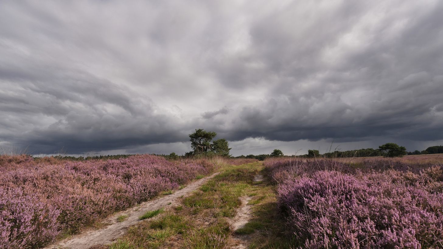Eind van de week wordt het wisselvalliger en passeren buien over het land. Foto: Arjan Pat.