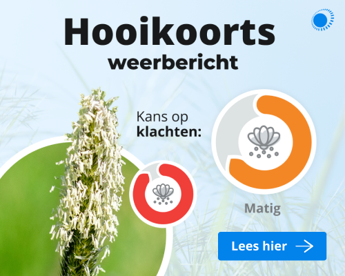 Hooikoorts banner