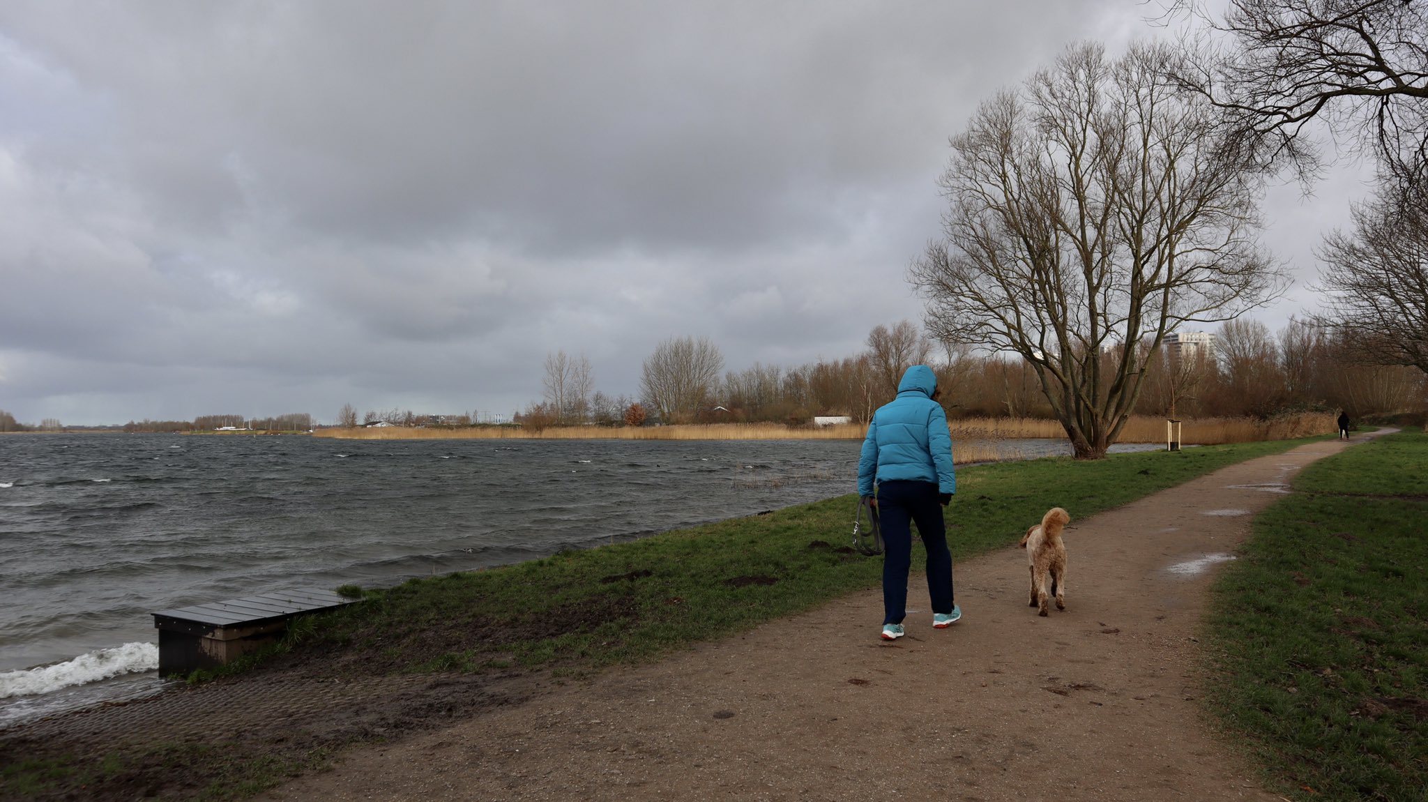 Het was vaak somber weer in januari. Foto: Jolanda Bakker