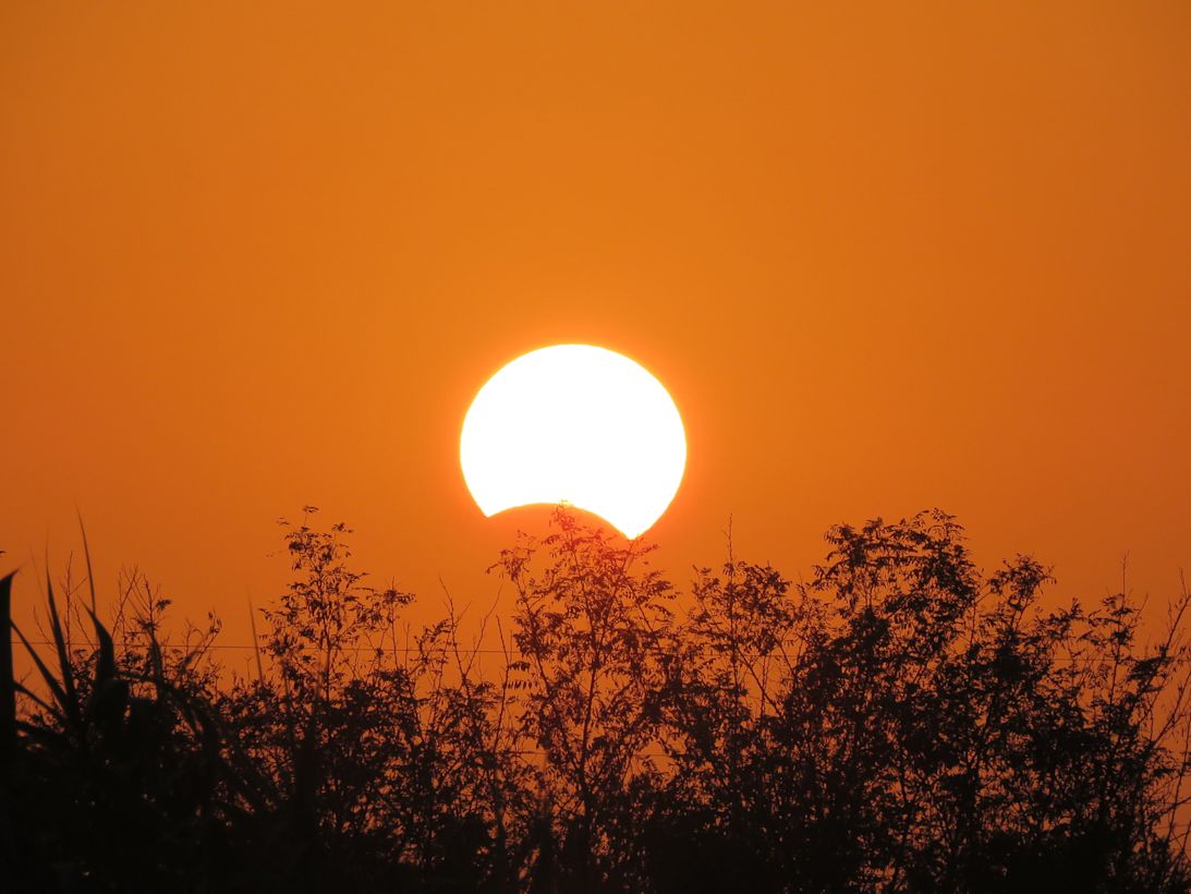 Gedeeltelijke zonsverduistering.
Foto: Adobe Stock / Helder Coutinho
