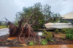 Tropische cycloon Zelia aan land gekomen in Australië