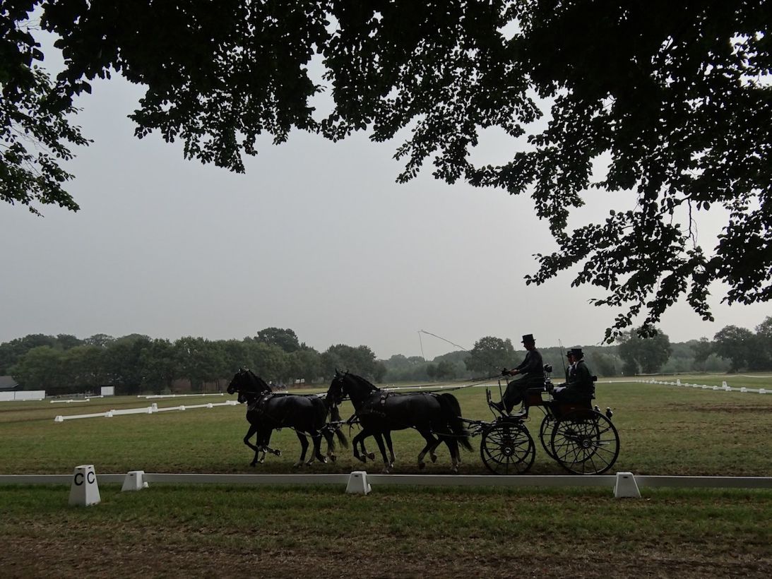 Weeromslag op komst. Foto: Henk Voermans