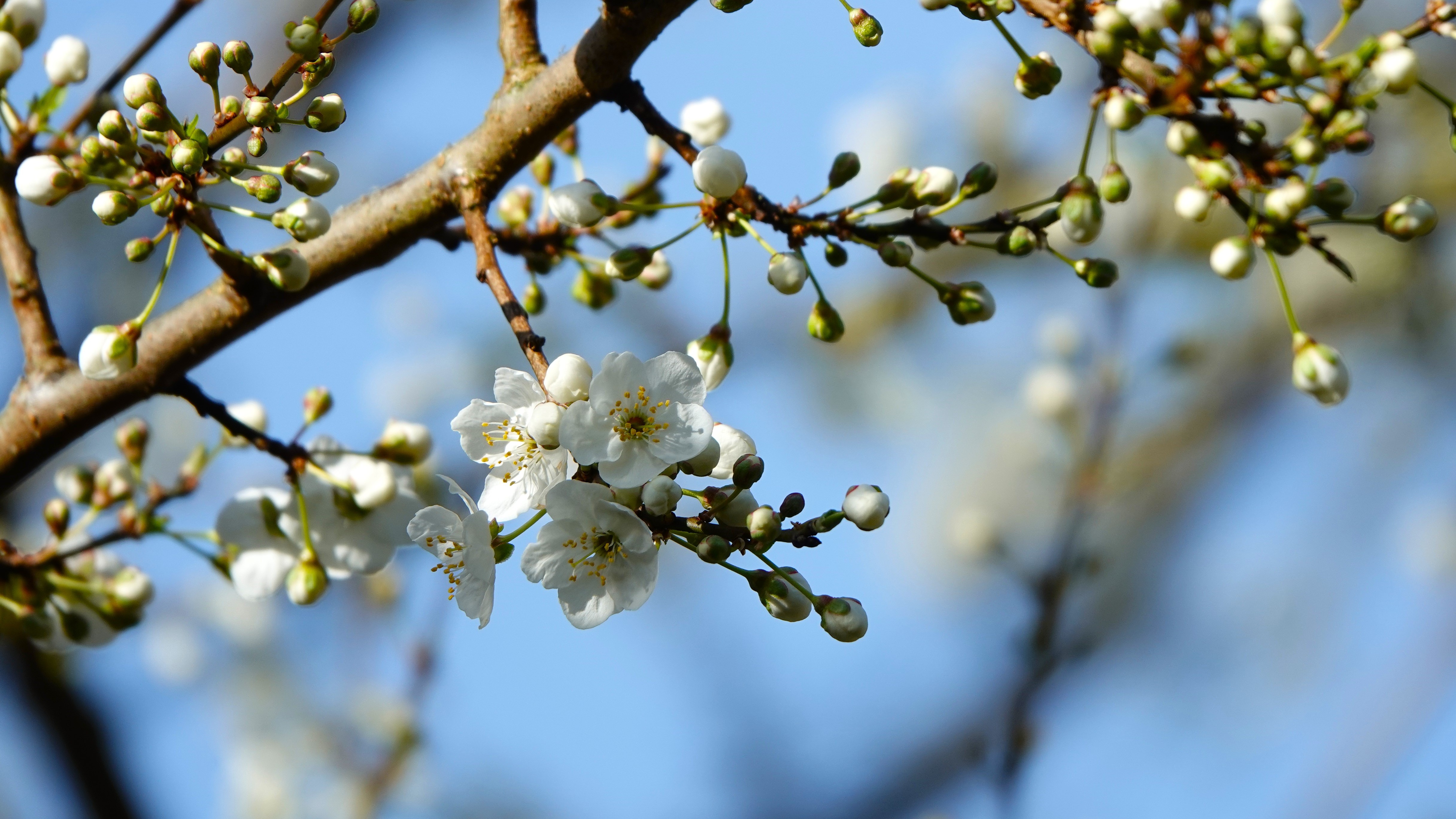 Zonnig weer begin maart. Foto: Diana Huntjens