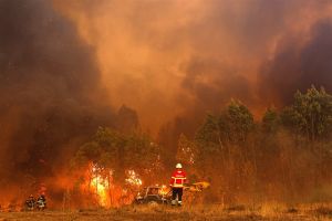 Bosbrand in zuiden Portugal leidt tot meer dan duizend evacuaties