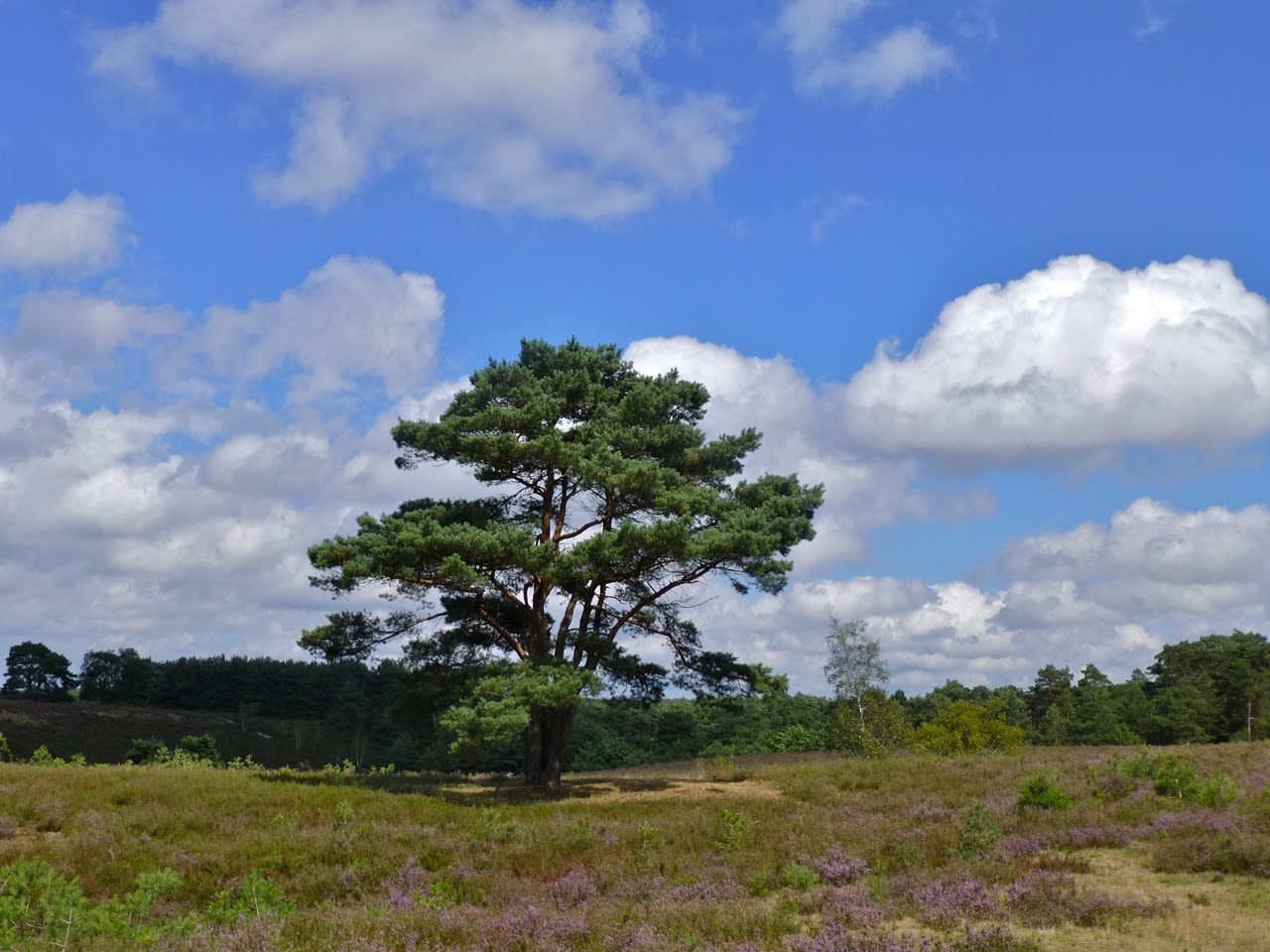 Wisselvallige periode, prima wandelweer