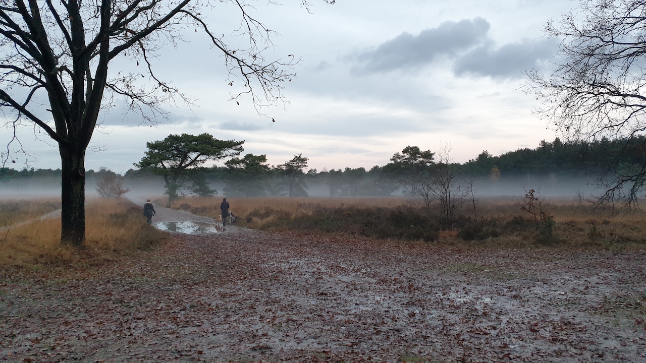 Grijs novemberweer. Foto: Joyce van Riel