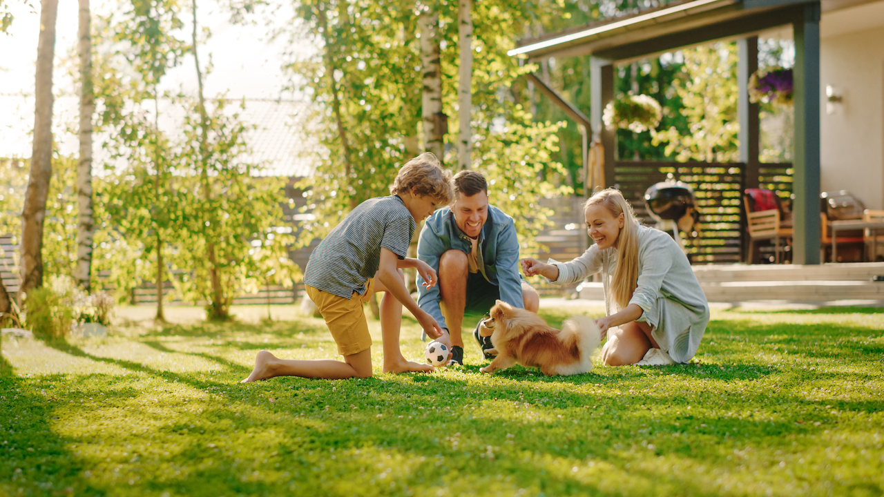 Zo krijg je het mooiste gazon in je tuin