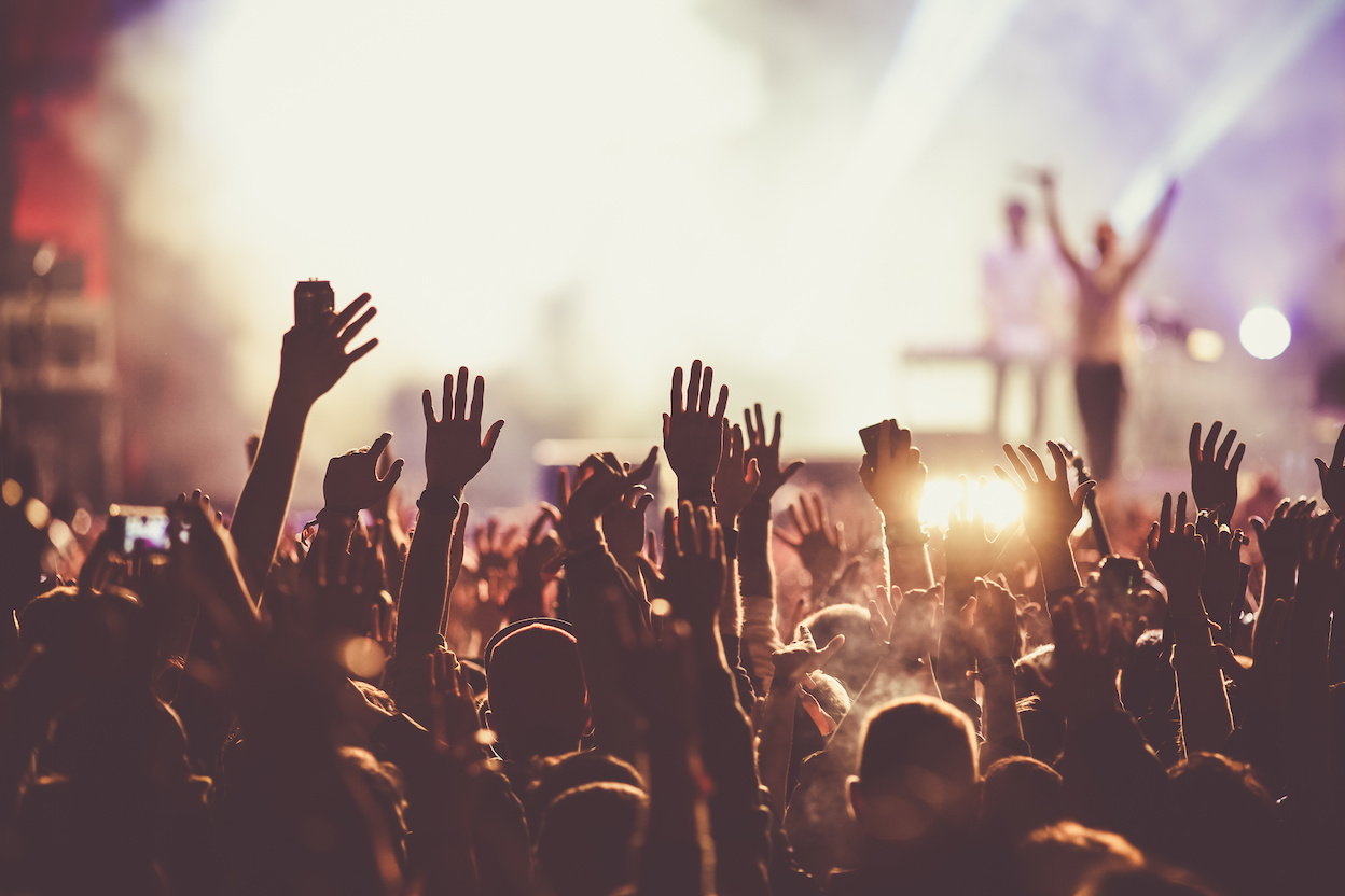 Publiek bij concert: Foto: AdobeStock / Melinda Nagy