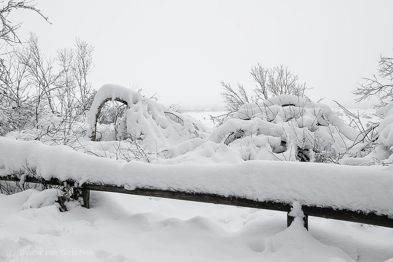 Een witte kerst, wanneer moet de sneeuw vallen? 