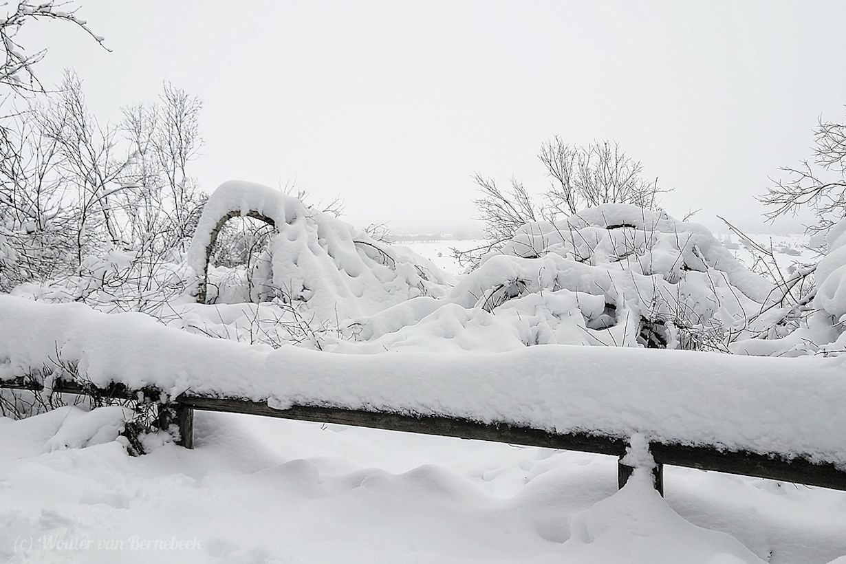 Dik pak sneeuw in de Ardennen. Foto: Wouter van Bernebeek
