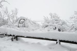 Een witte kerst, wanneer moet de sneeuw vallen?
