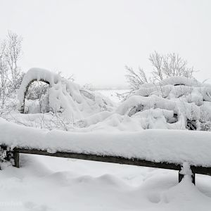 Dit is normaal weer in de Belgische winter
