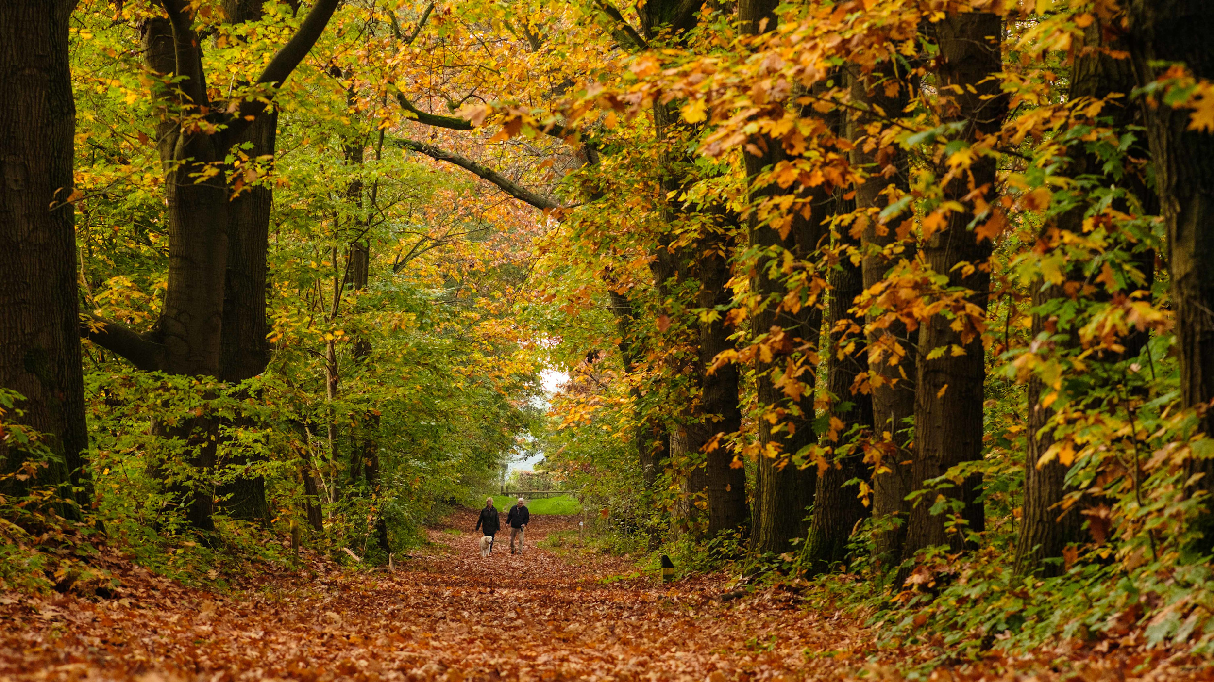 Weekverwachting: zo start de meteorologische herfst