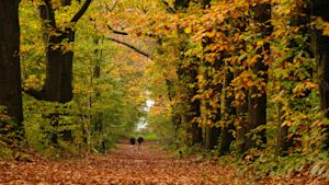 Weekverwachting: zo start de meteorologische herfst