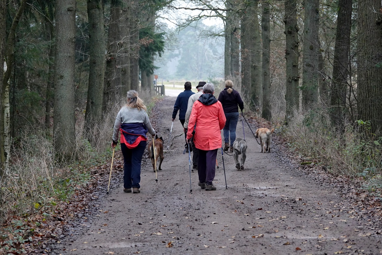 Grijze luchten, maar qua temperatuur heerlijk om te wandelen. Foto: Ben Saanen