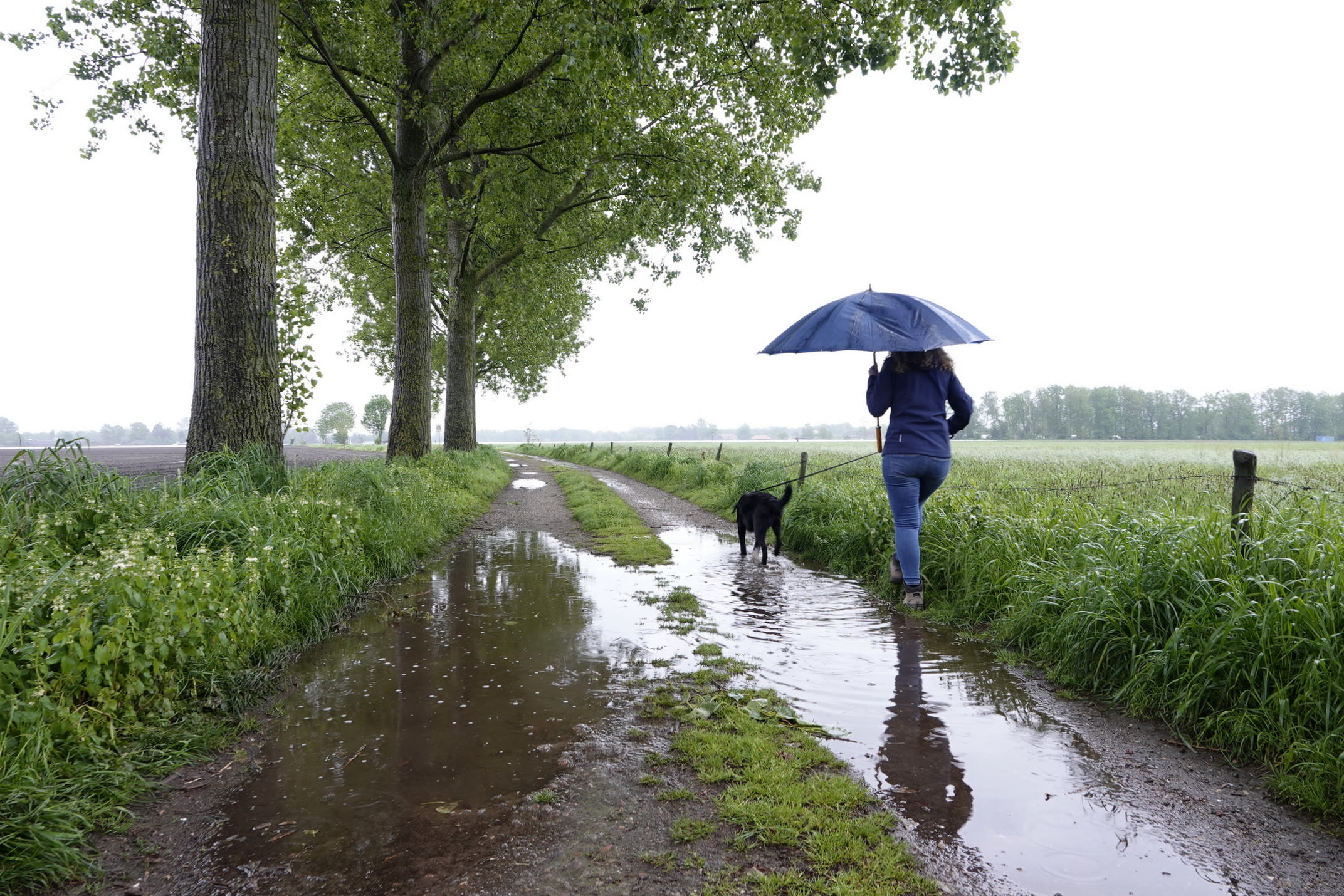 De paraplu hebben we deze week vaak nodig. Foto: Ben Saanen.