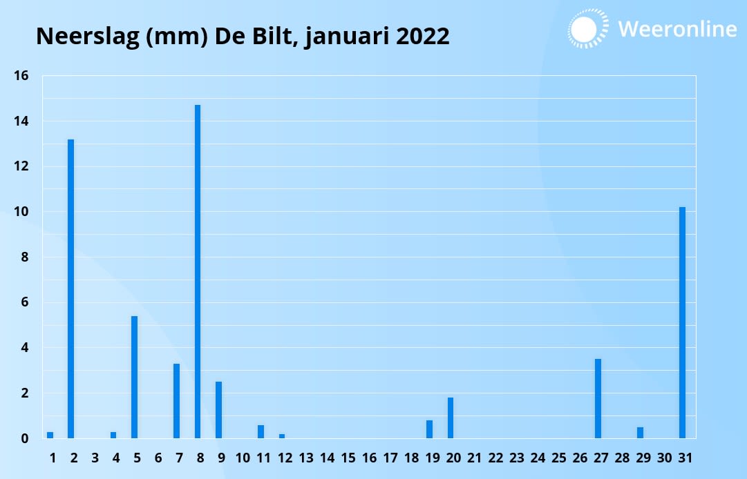 De neerslag in De Bilt in januari 2022