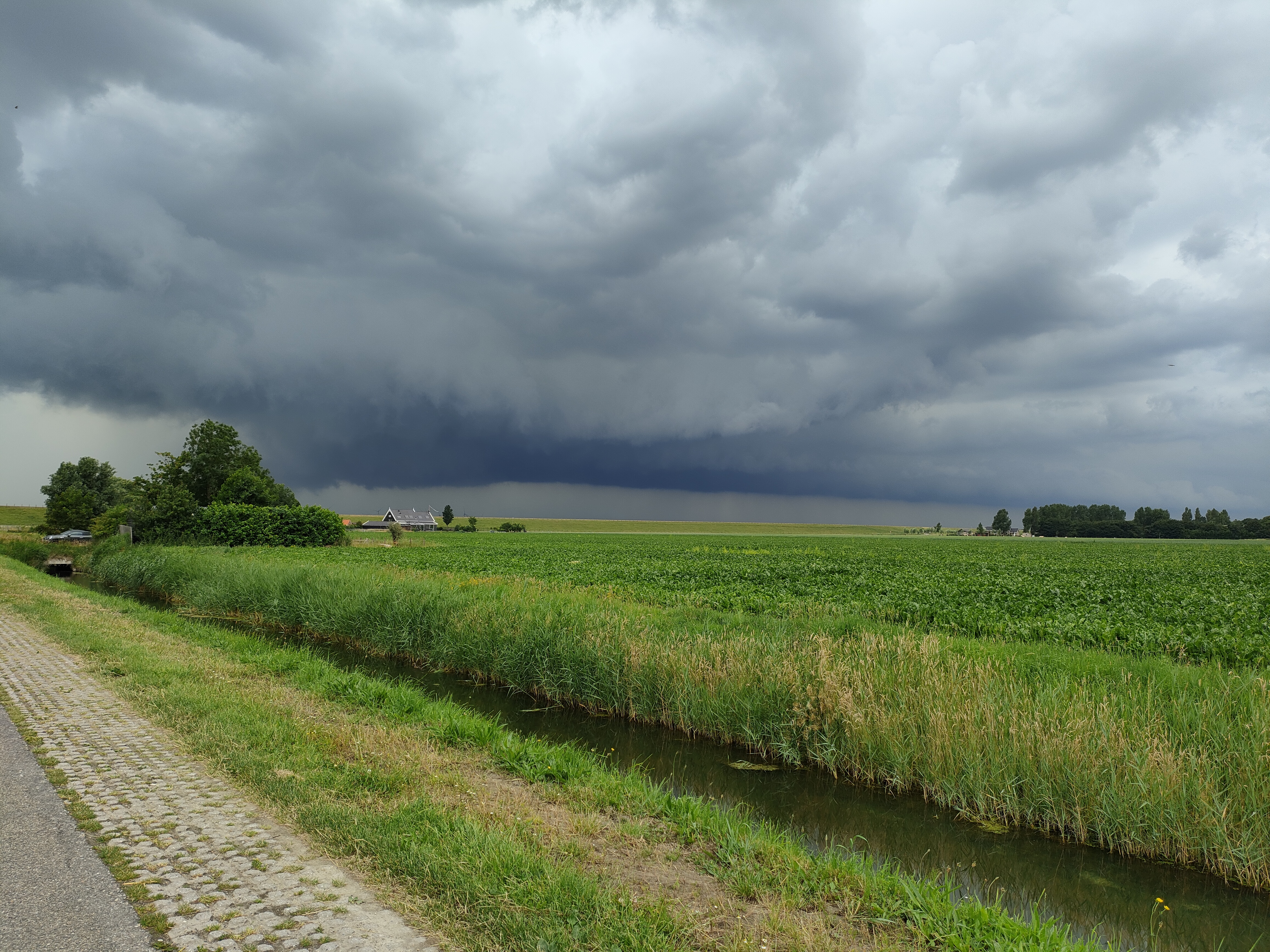 Foto: Christiaan Kooijman