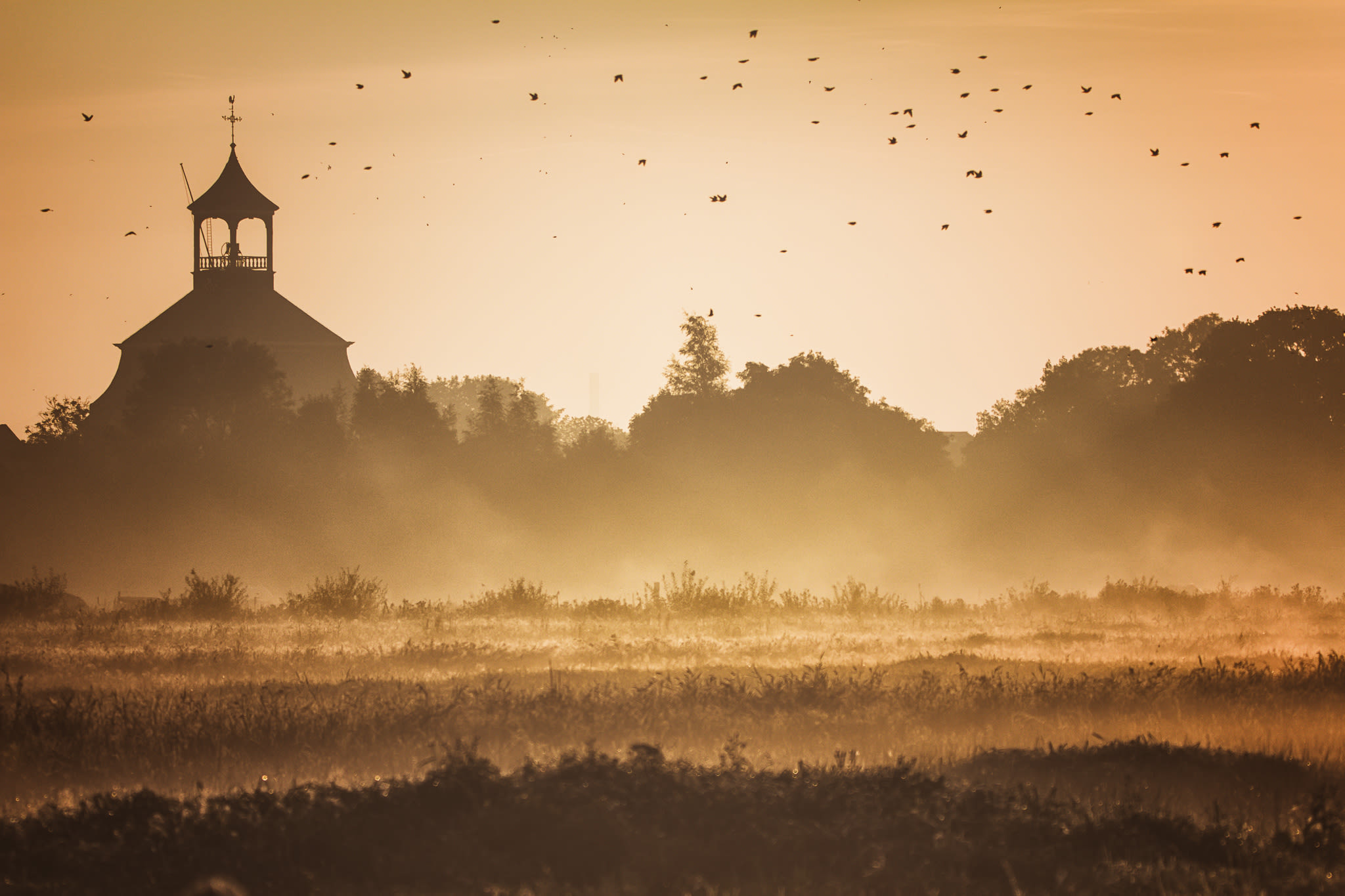 Mistflarden op mooie septemberochtend. Foto: Natascha Verbij 