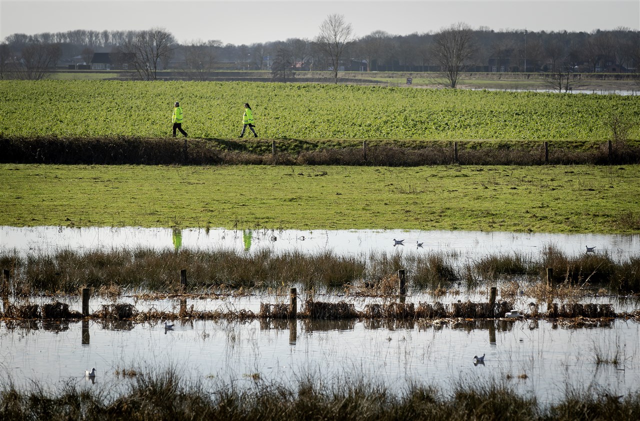 De uiterwaarden lopen vol. Foto: ANP / ROBIN VAN LONKHUIJSEN