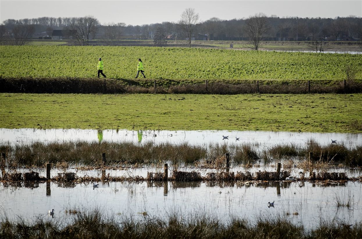 De uiterwaarden lopen vol. Foto: ANP / ROBIN VAN LONKHUIJSEN