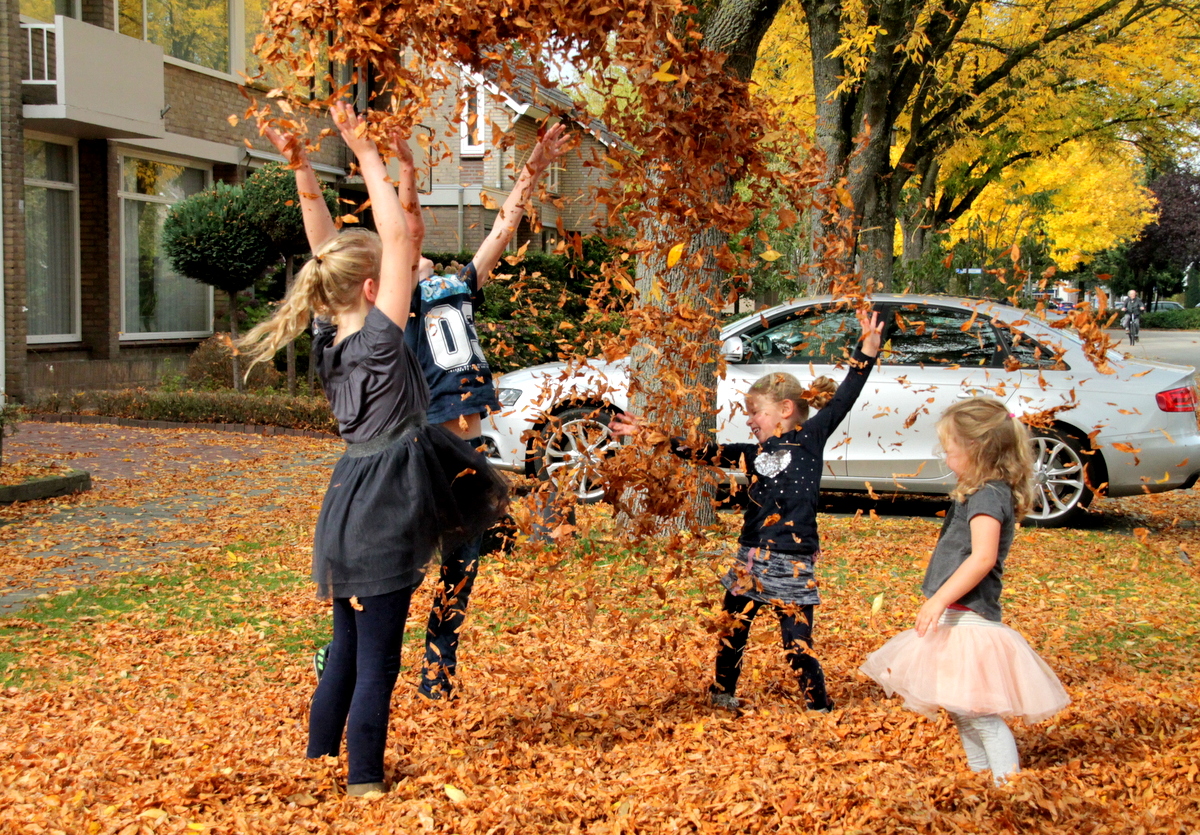 Kinderen spelen gooien met bladeren in de herfst. Foto: Martha Kivits.