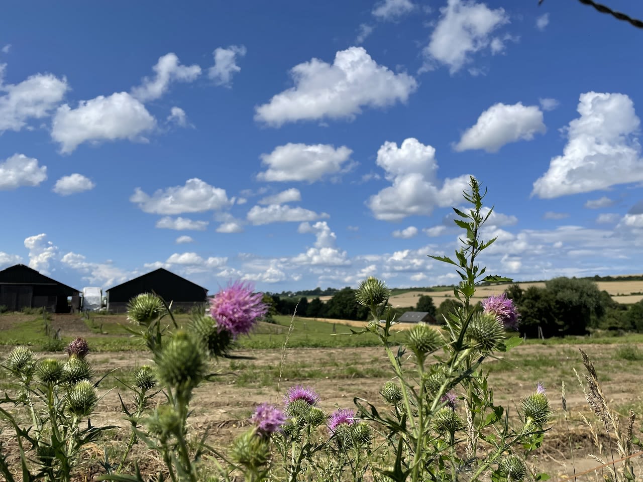 Tijdens wisselvallig zomerweer zitten ook zeker beter dagen. 