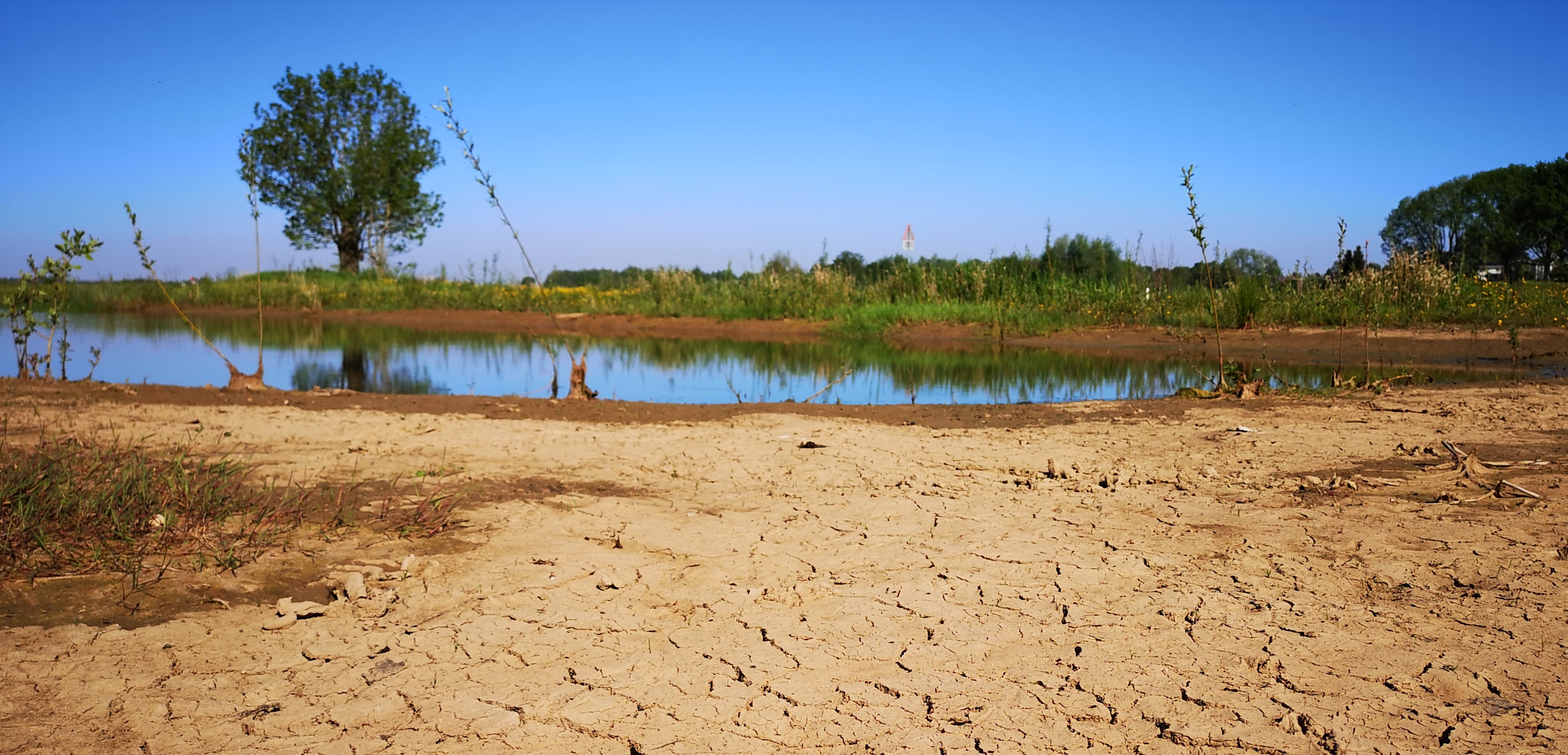 Dit is waarom het zuiden en oosten van Nederland gevoeliger zijn voor droogte