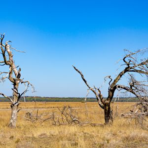 Dit waren de droogste jaren in Nederland