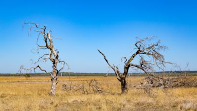 Dit waren de droogste jaren in Nederland