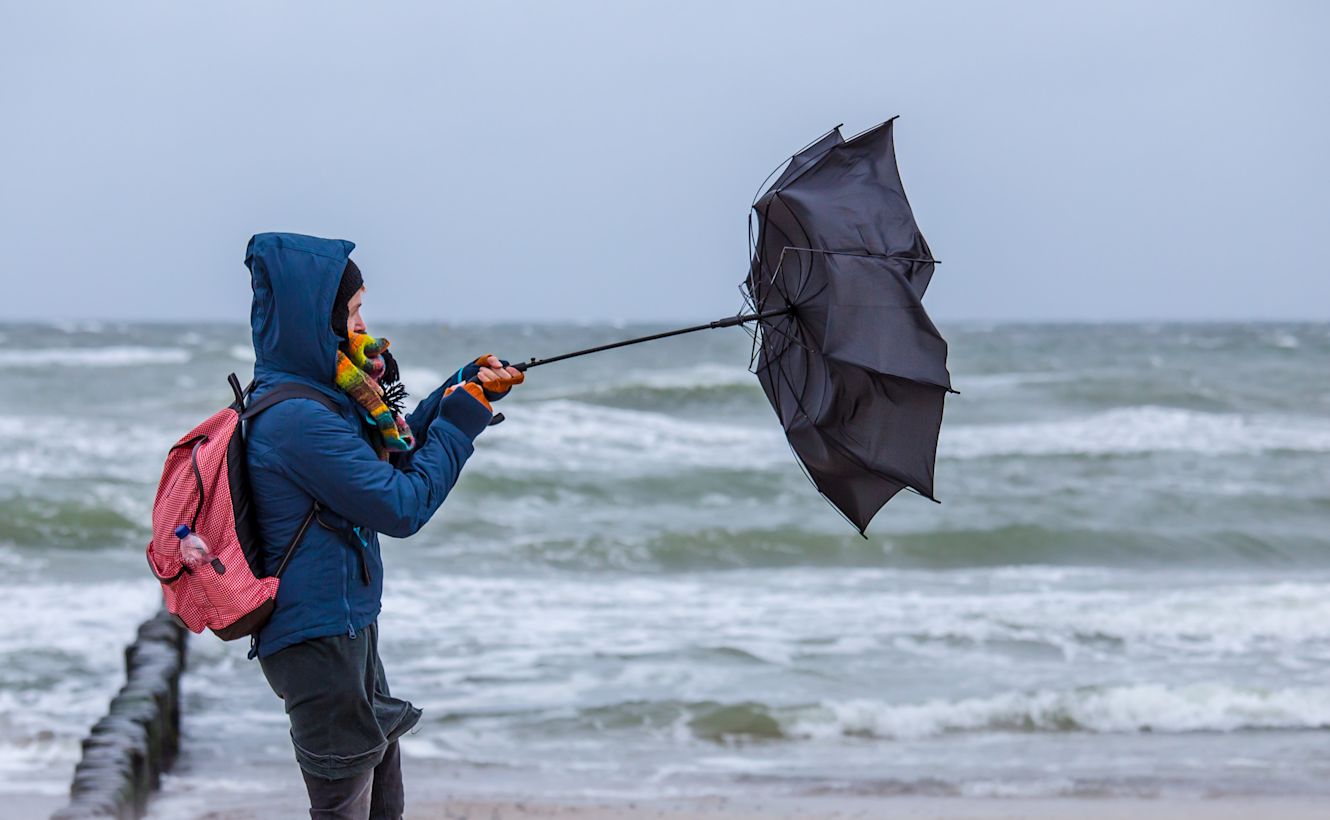 Normale paraplu's zijn niet tegen veel wind bestand. Foto: Adobe Stock / Rainer Fuhrmann.
