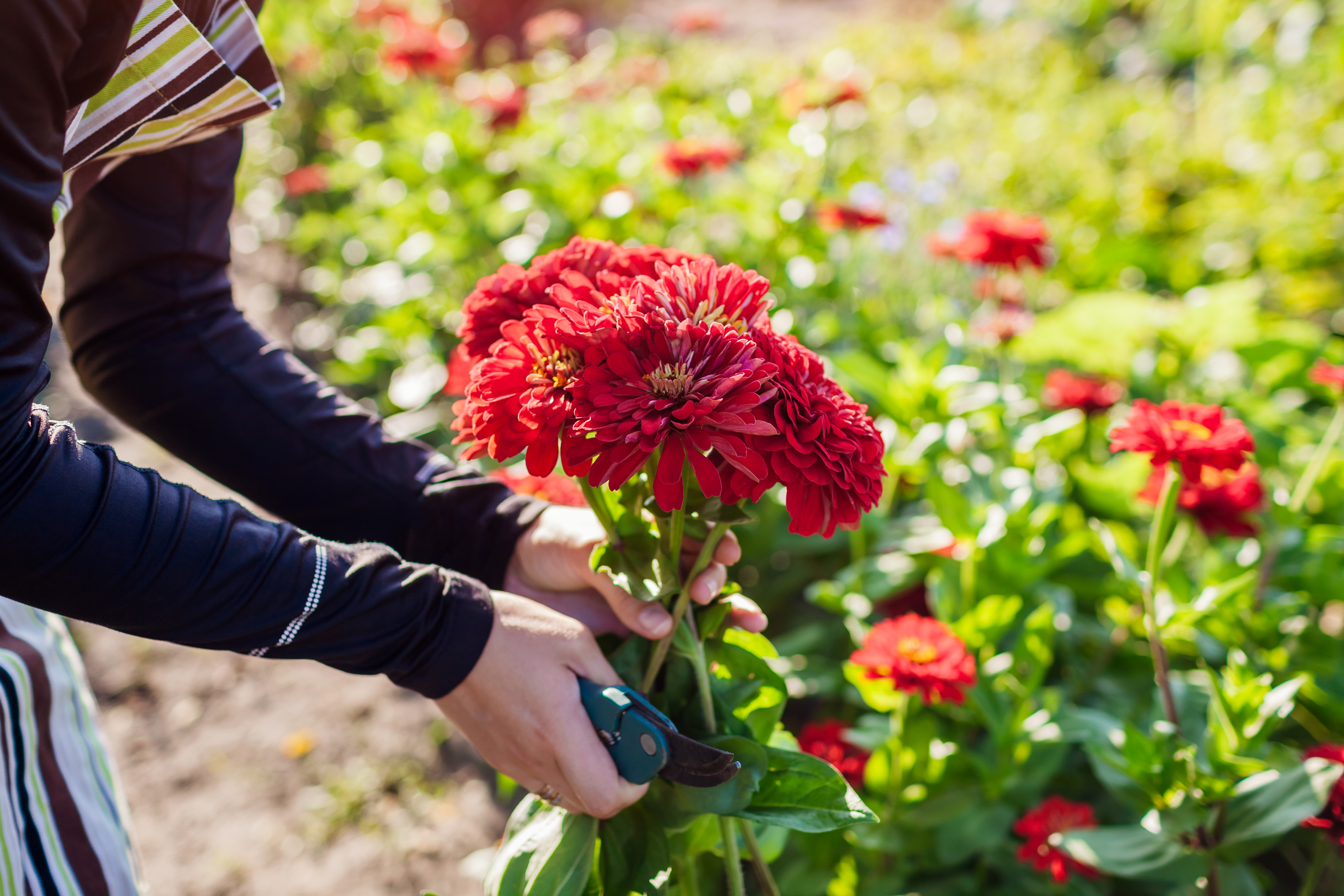 Zo maak je de tuin klaar voor je zomervakantie