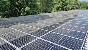 Zonnepanelen schoonmaken: wel of niet doen?