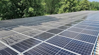Zonnepanelen schoonmaken: wel of niet doen?