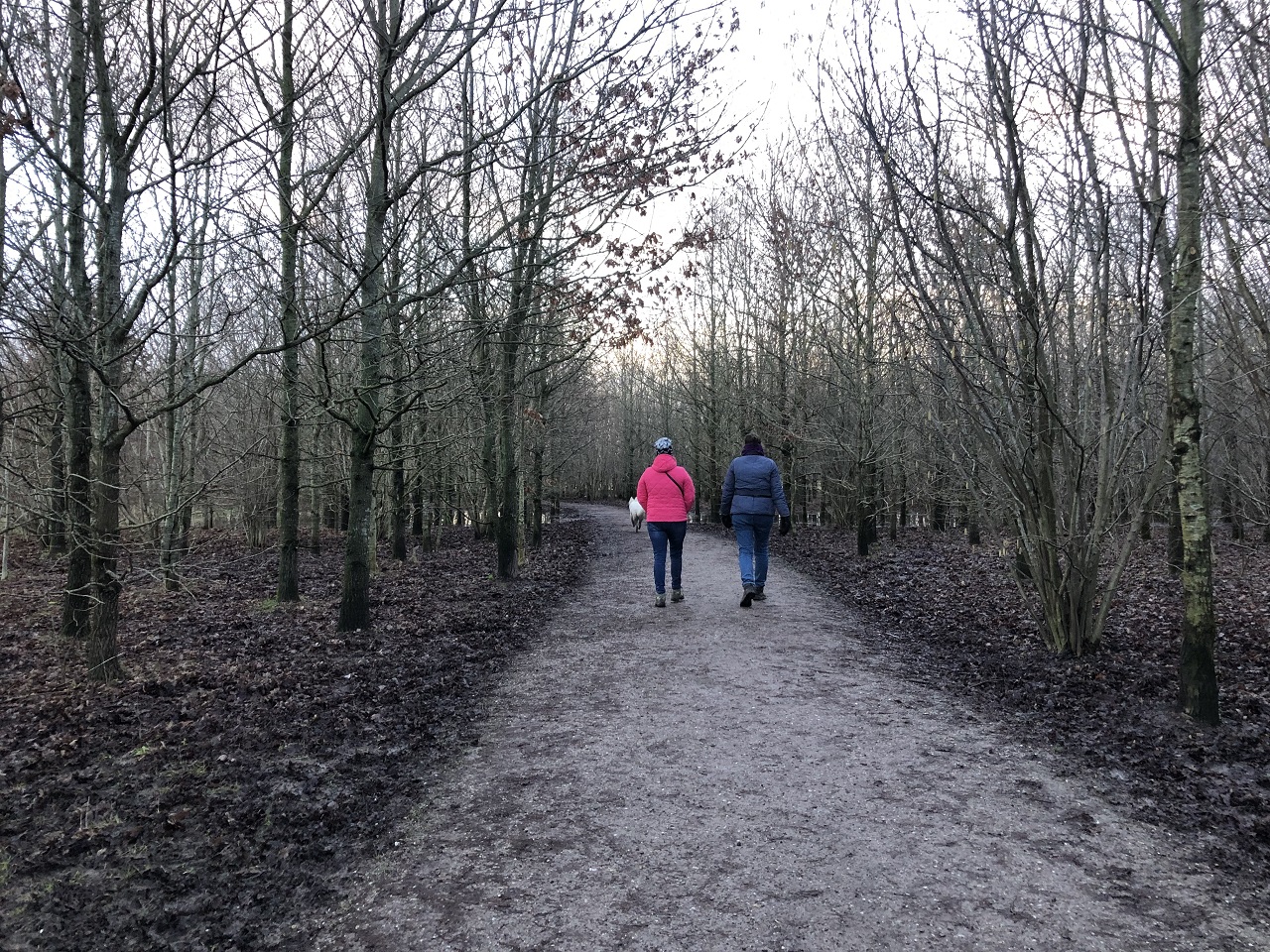 Het is dit weekend heerlijk winterweer voor een wandeling. Foto: Jolanda Bakker