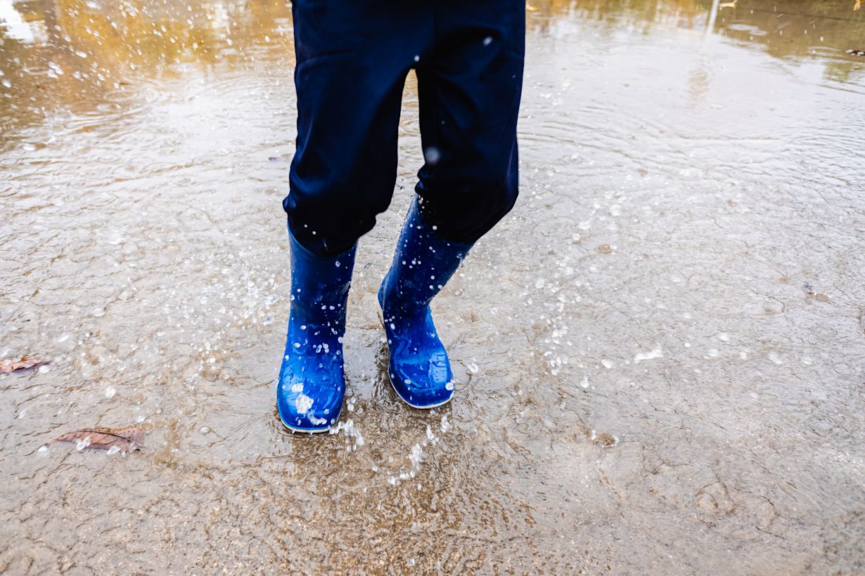 Stampen in de plassen. Foto: Adobe Stock / Joaquin Corbalan