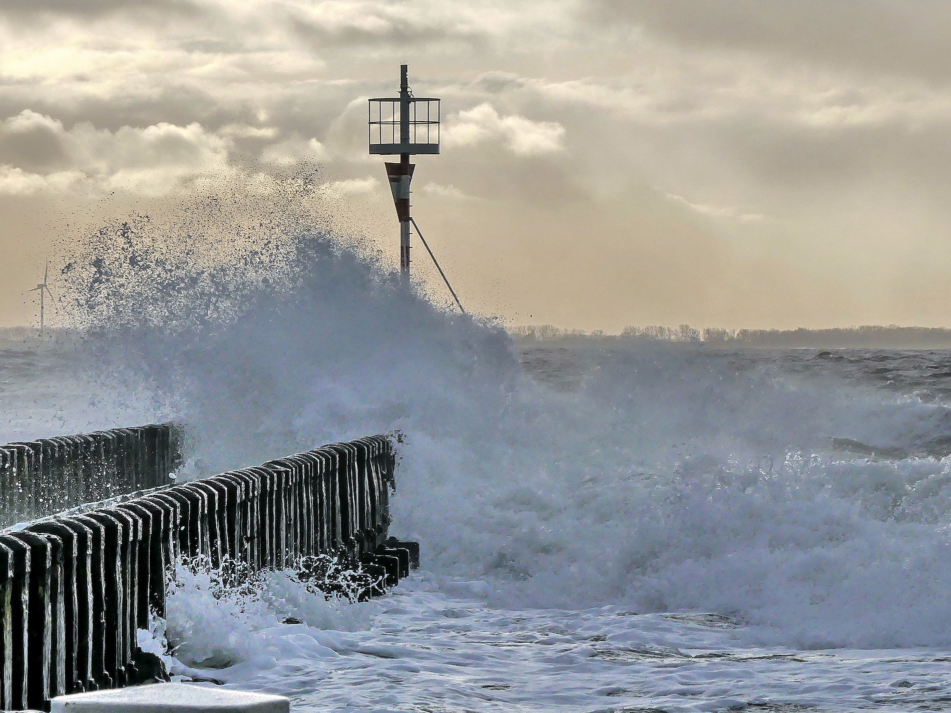 Foto: Hanneke Lucasse, Westkapelle (Zeeland)