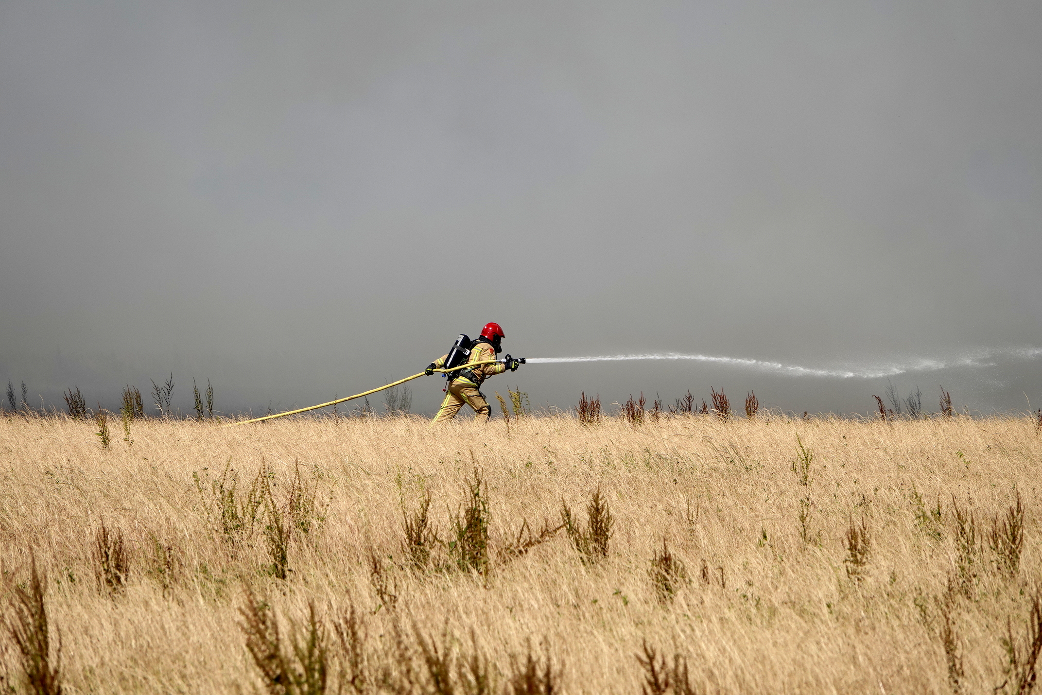 Evacuaties vanwege grote natuurbrand in Franse regio Bordeaux 