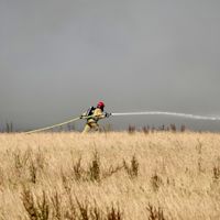 Brand in duinen bij Wassenaar