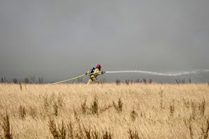 Evacuaties vanwege grote natuurbrand in Franse regio Bordeaux