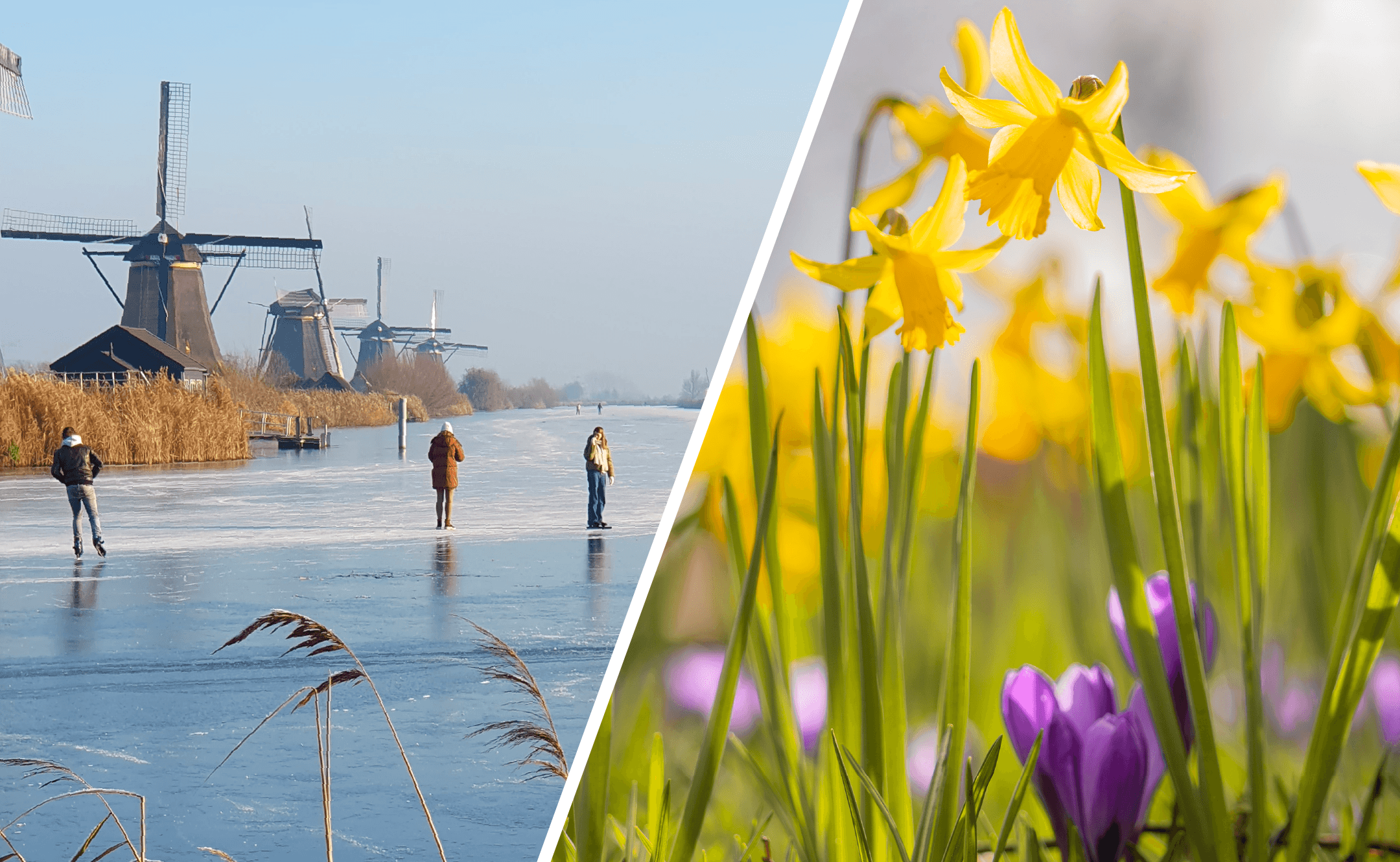 Foto links: W. van Wijngaarden, Kinderdijk. Foto rechts: Chris Biesheuvel, Meteren (Gelderland). 